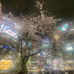 完全貸切焼肉 虎室 - 