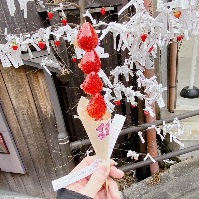 Ichikoro Yasaka no To no Ichigo Ame Yasan photo 4