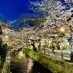 BAR LeCoq - ◎京都の夜桜