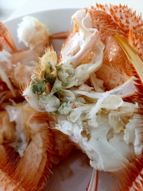 おたる夢市場 - 小樽（その他）の写真