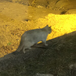 犬吠埼観光ホテル - 