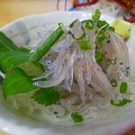 めがね丸 - 白魚