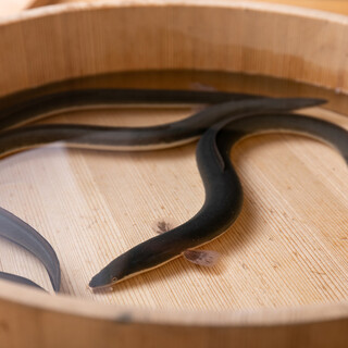 三宅輝_2