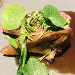 ラ・ヴァガボンド - 鳩