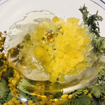 ラ・ヴァガボンド - ミモザ