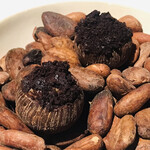 ラ・ヴァガボンド - オペラ