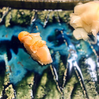 うを徳 - ★ 小柱　海苔を使わない（軍艦巻きでない）スタイル