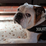 リトル ランカ - 