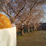 ハナモリ コーヒー スタンド - 桜と揚げパン。伊賀は満開はもう少しかな。