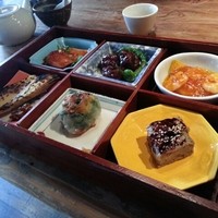 雪梅花 菜根譚 - 