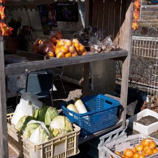 柿の木坂の家_2