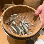 にい留 - 仮死の稚鮎