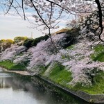 レストラン・セン - 