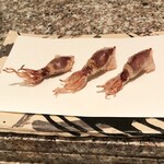 天麩羅 巽 - 蛍烏賊