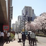 Seikaisou - お店と名城小学校の桜