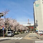Seikaisou - お店と名城小学校の桜