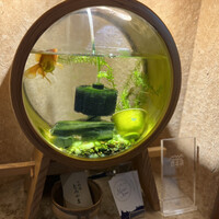 お料理 とみやま - 