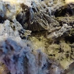 慈げん - 中の黒ゴマ達