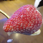 慈げん - ラムミルクの下からゴロン