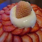 慈げん - 甘さも酸っぱさも違う平面苺達