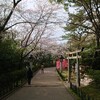 Yamauchi Noujou - 稲毛浅間神社の桜。ちょうど見頃でした。