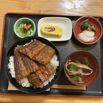 Sumibiyaki Unagi Higashiyama Bussan - 中丼