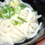 Fujimi Udon - 