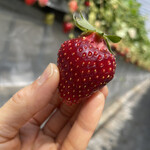 姫路ハートフル観光農園 - 