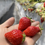 姫路ハートフル観光農園 - 