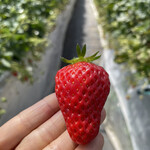 姫路ハートフル観光農園 - 