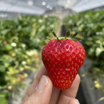 姫路ハートフル観光農園 - 