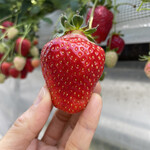 姫路ハートフル観光農園 - 