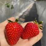 姫路ハートフル観光農園 - 