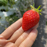 姫路ハートフル観光農園 - 