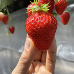 姫路ハートフル観光農園 - 