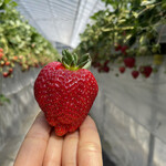 姫路ハートフル観光農園 - 