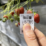 姫路ハートフル観光農園 - 