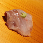 すが弥 - ハタのお腹部位です。塩と山葵でいただきます