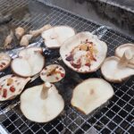 高槻しいたけセンター - 料理写真: