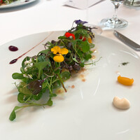 オトワ レストラン - ⑥栃木旬野菜