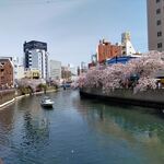 ワンアンドオンリー - 