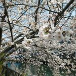 居酒屋 みえ蔵 - 