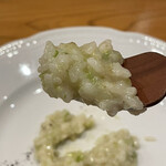 f - 秋田こまち蕗の薹のリゾット