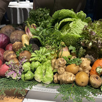 レフェルヴェソンス - 