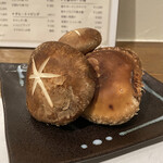 肉の奴隷 - 原木しいたけ