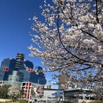 そば切り 荒凡夫 - 関テレ本社隣の扇町公園と桜(✿´ ꒳ ` )