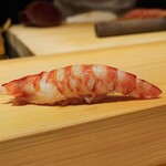 鮨 尚充 - 車エビ