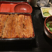 うなぎ 目白ぞろ芽 - 