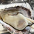 牡蠣小屋りょうちゃん - 料理写真:どの牡蠣もぷりぷり