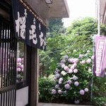 長命寺 桜もち - 店舗外観・・・奥には紫陽花が
